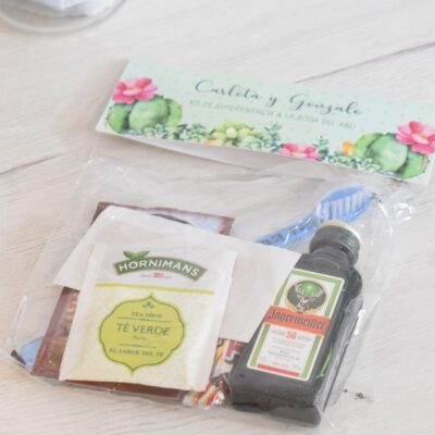 kit supervivencia cactus