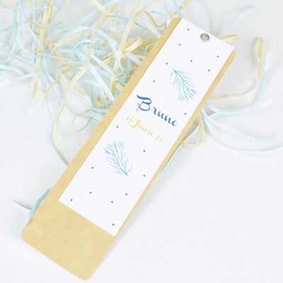 Recordatorio Océano