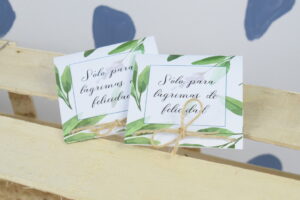 Lágrimas felicidad Guadalupe con cuerda