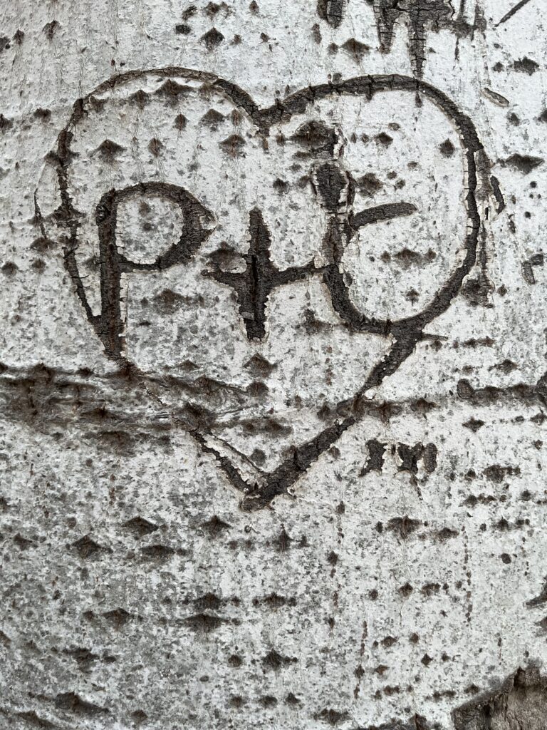 Pilar & Carlos